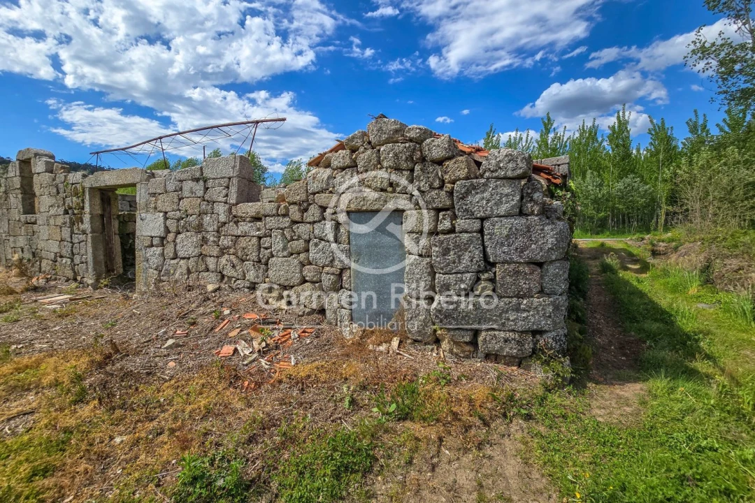 Quinta T0 para Venda em Antime e Silvares (São Clemente) Foto 21