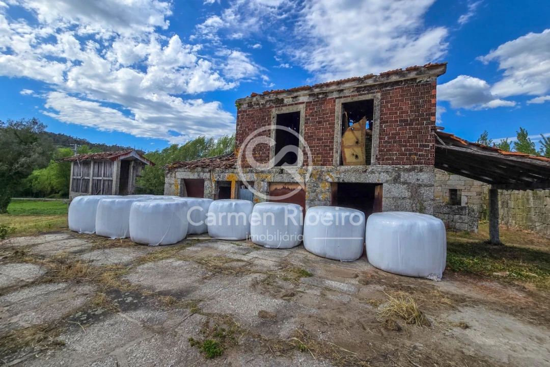Quinta T0 para Venda em Antime e Silvares (São Clemente) Foto 25