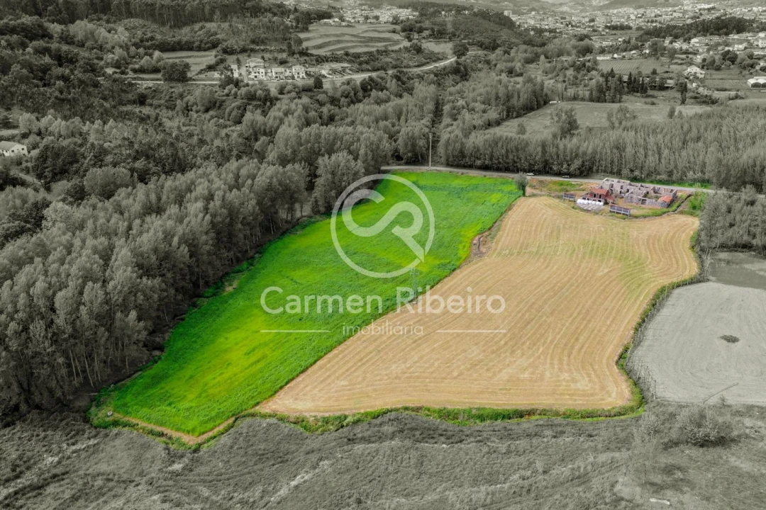 Quinta T0 para Venda em Antime e Silvares (São Clemente) Foto 28