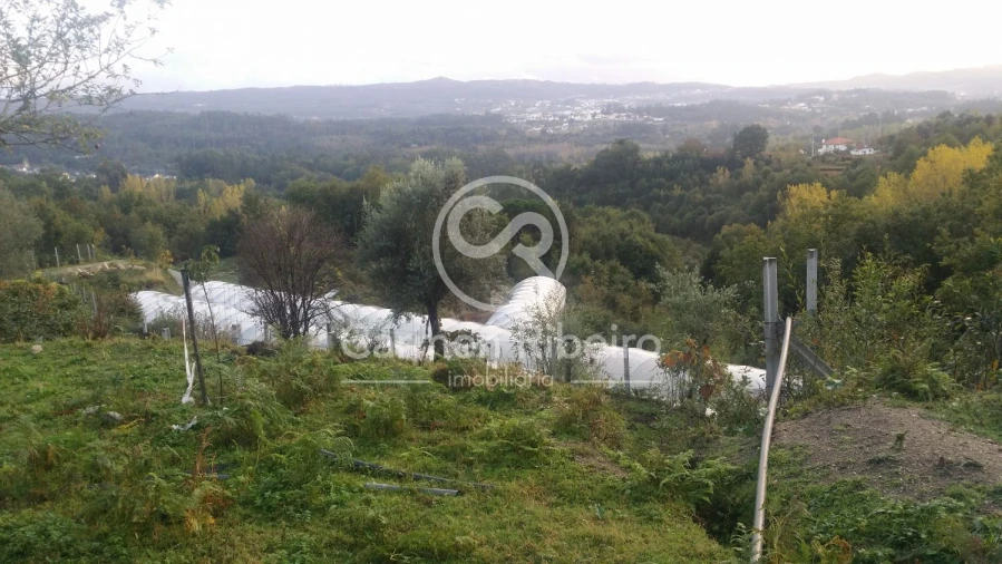 Terreno para Venda em Estorãos Foto 19