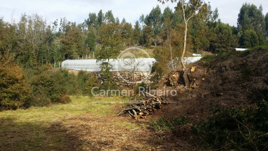 Terreno para Venda em Estorãos Foto 8