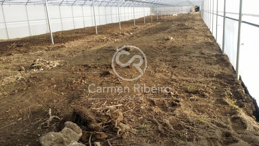 Terreno para Venda em Estorãos Foto 11