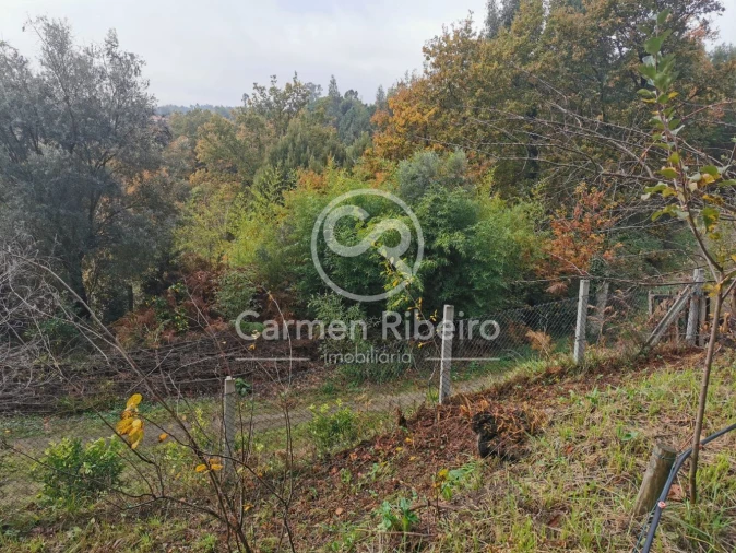 Terreno para Venda em Estorãos Foto 25