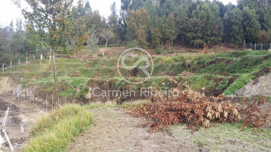 Terreno para Venda em Estorãos Foto 7
