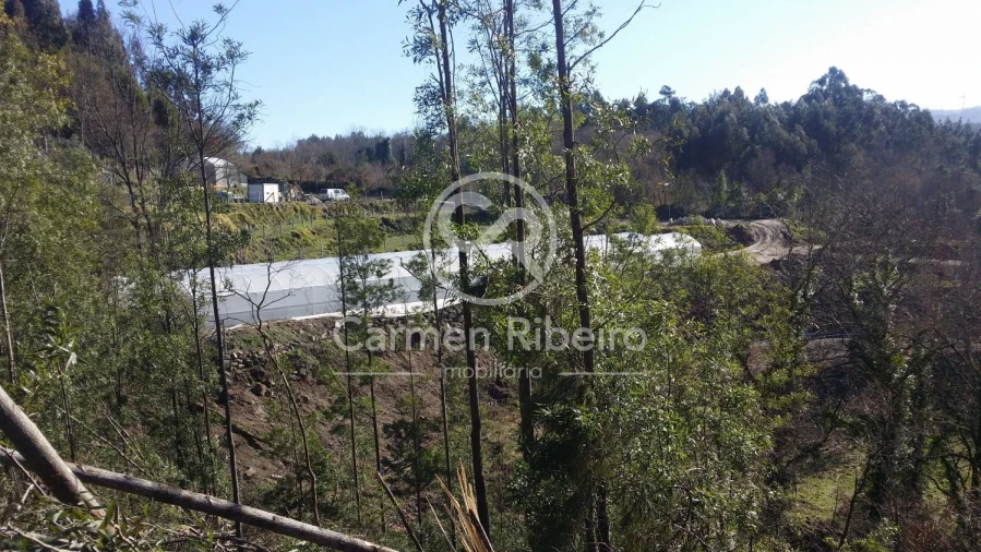 Terreno para Venda em Estorãos Foto 18