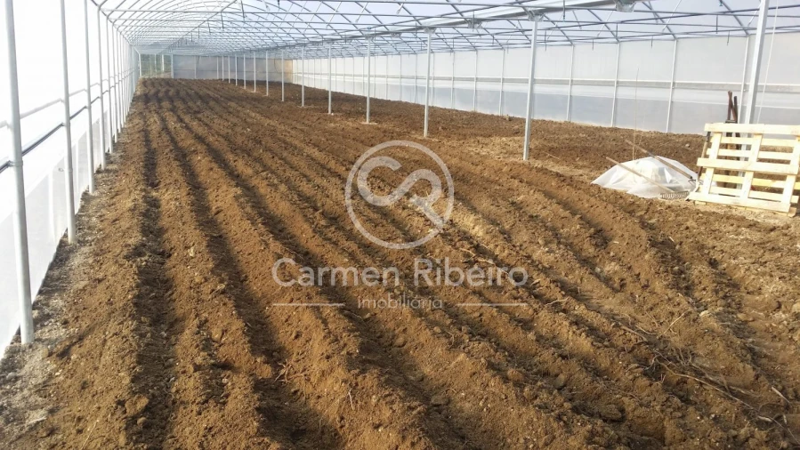 Terreno para Venda em Estorãos Foto 12