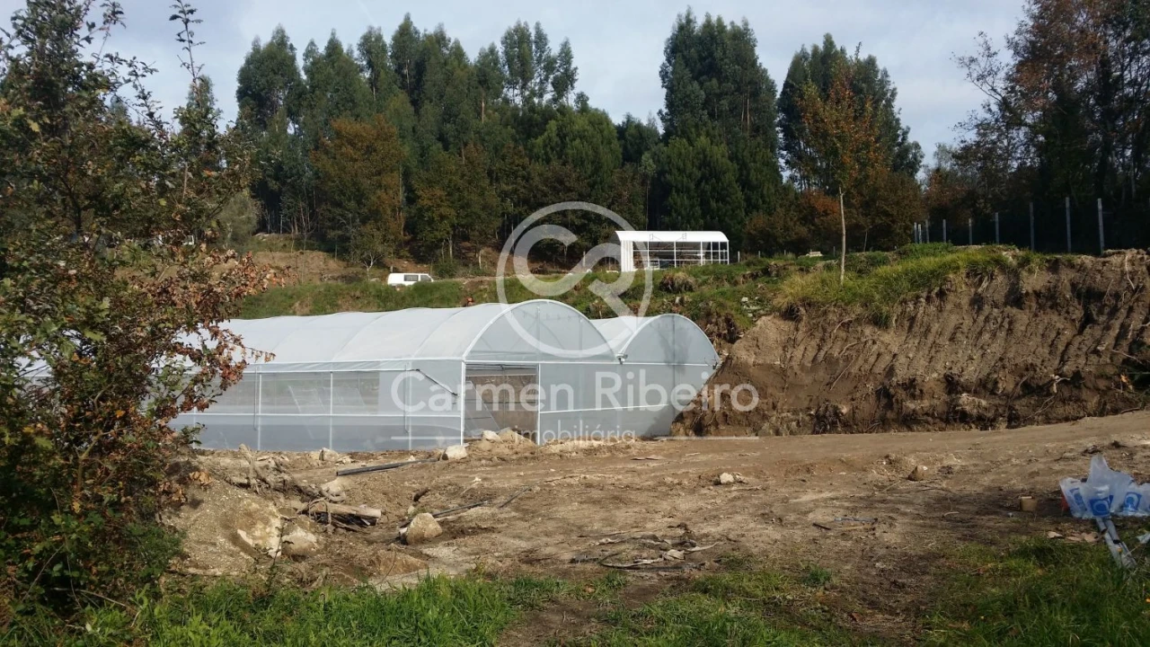 Terreno para Venda em Estorãos Foto 9