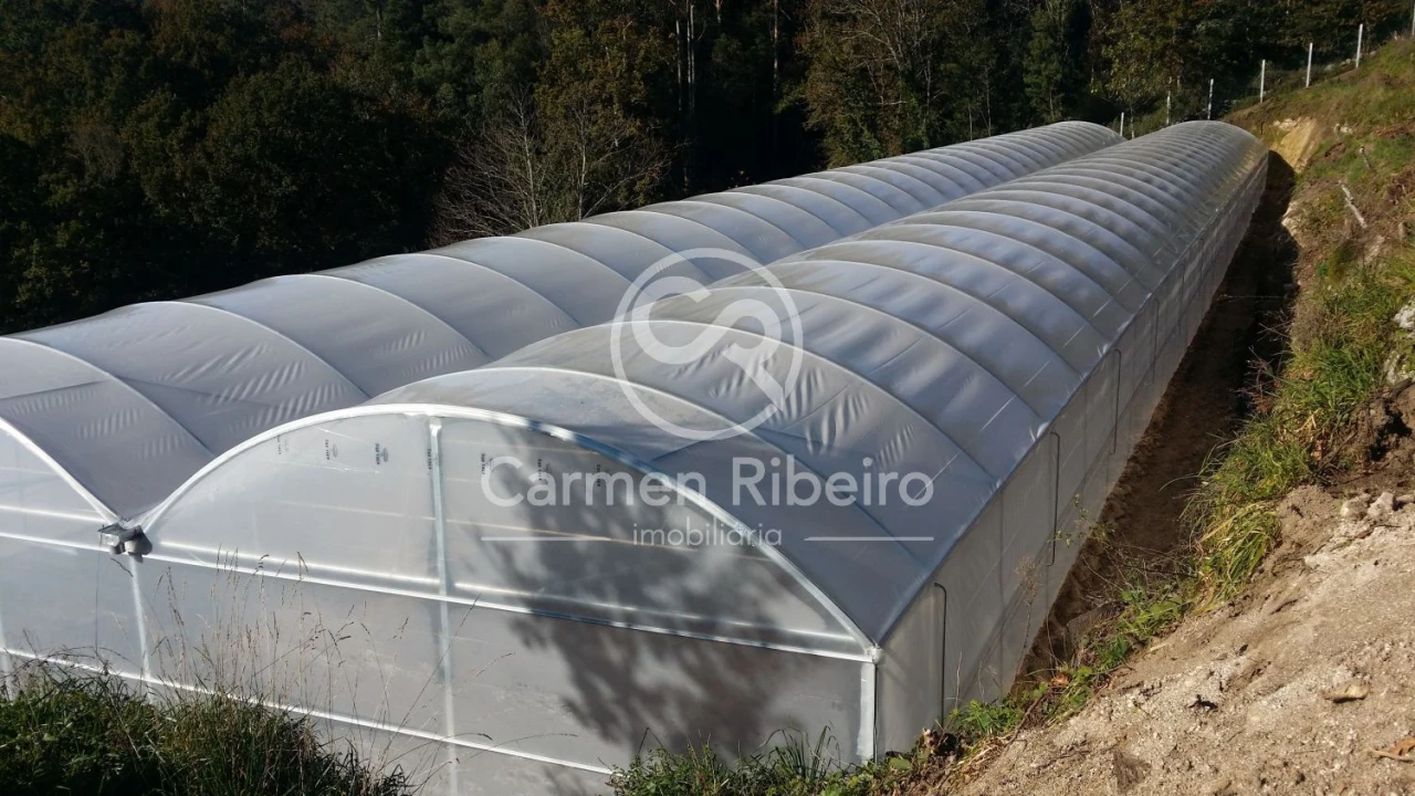 Terreno para Venda em Estorãos Foto 10