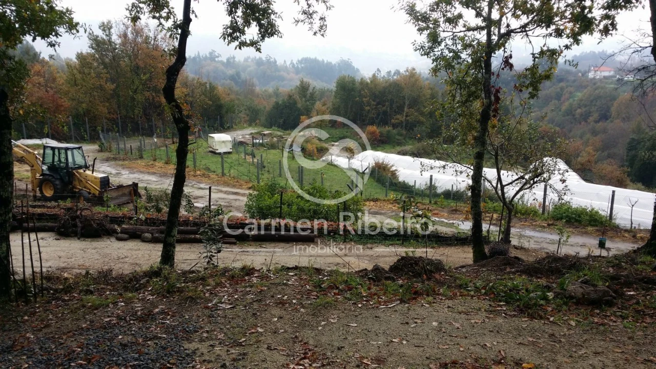 Terreno para Venda em Estorãos Foto 24