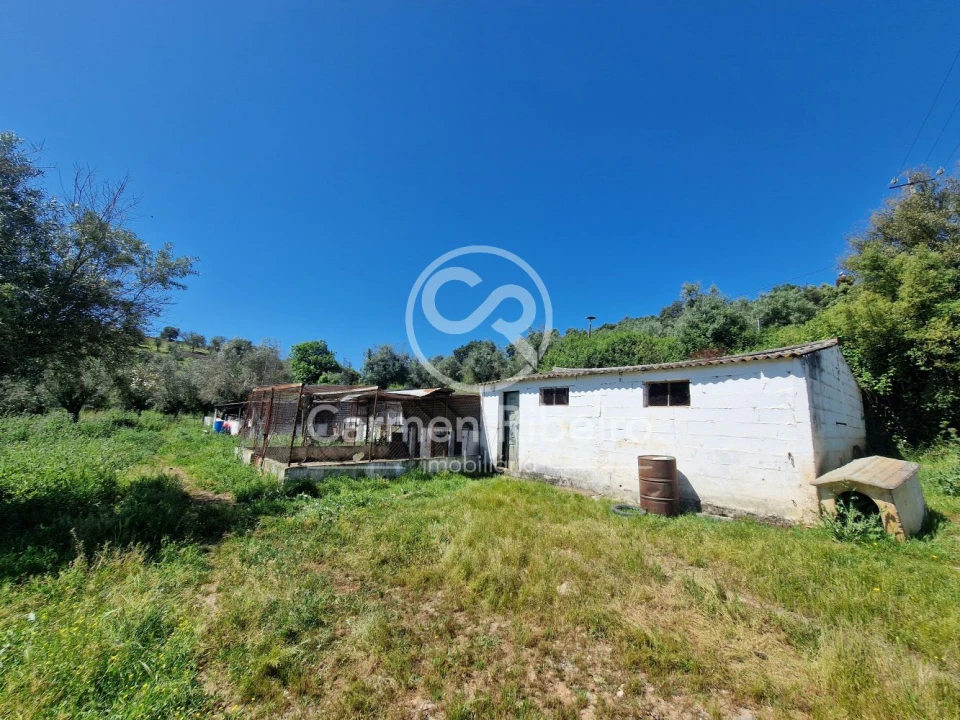 Quinta T5 para Venda em Fronteira Foto 9