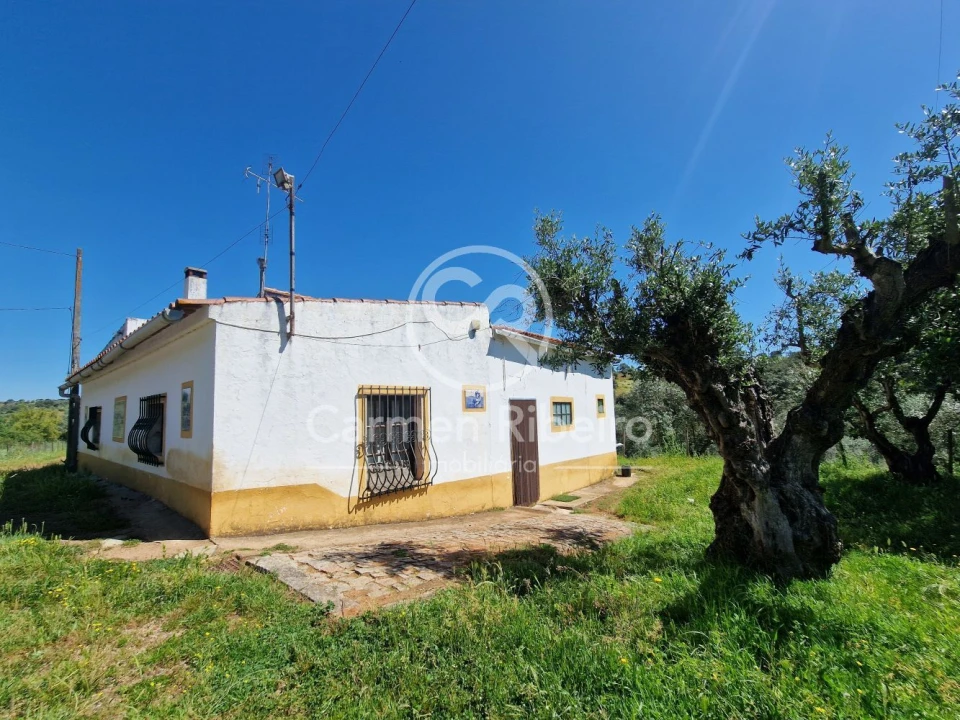 Quinta T5 para Venda em Fronteira Foto 1