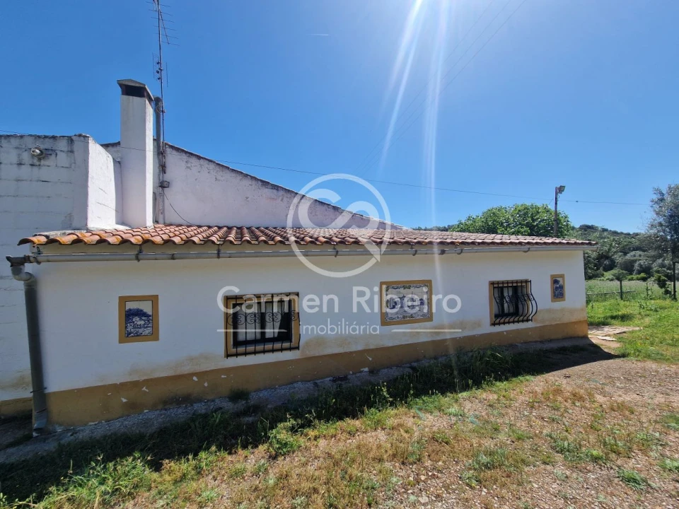 Quinta T5 para Venda em Fronteira Foto 3