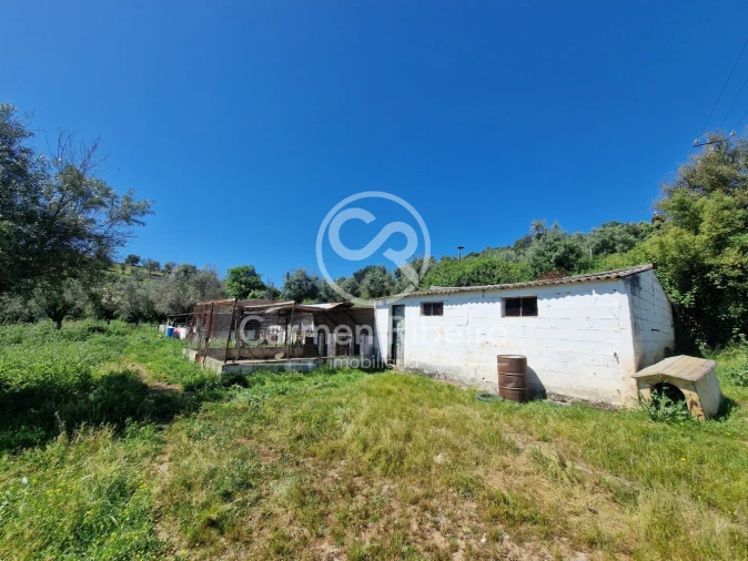 Quinta T5 para Venda em Fronteira Foto 9