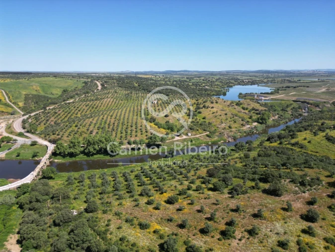 Quinta T5 para Venda em Fronteira Foto 21