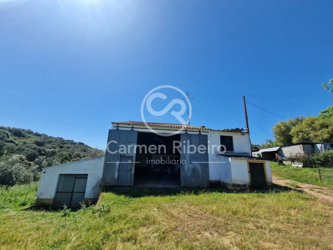 Quinta T5 para Venda em Fronteira Foto 6