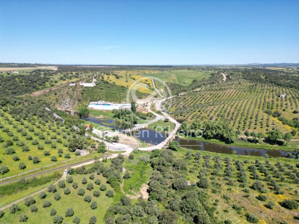 Quinta T5 para Venda em Fronteira Foto 22