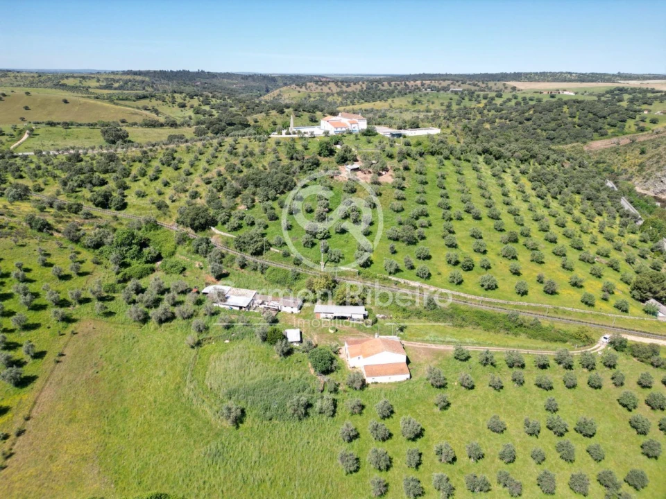 Quinta T5 para Venda em Fronteira Foto 17