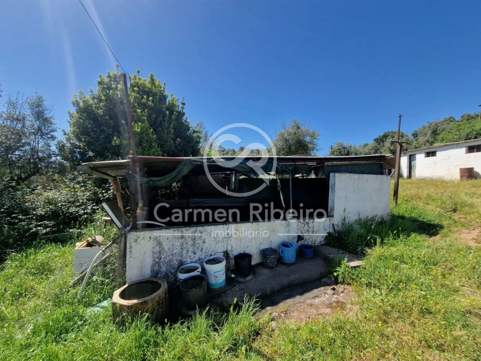 Quinta T5 para Venda em Fronteira Foto 8