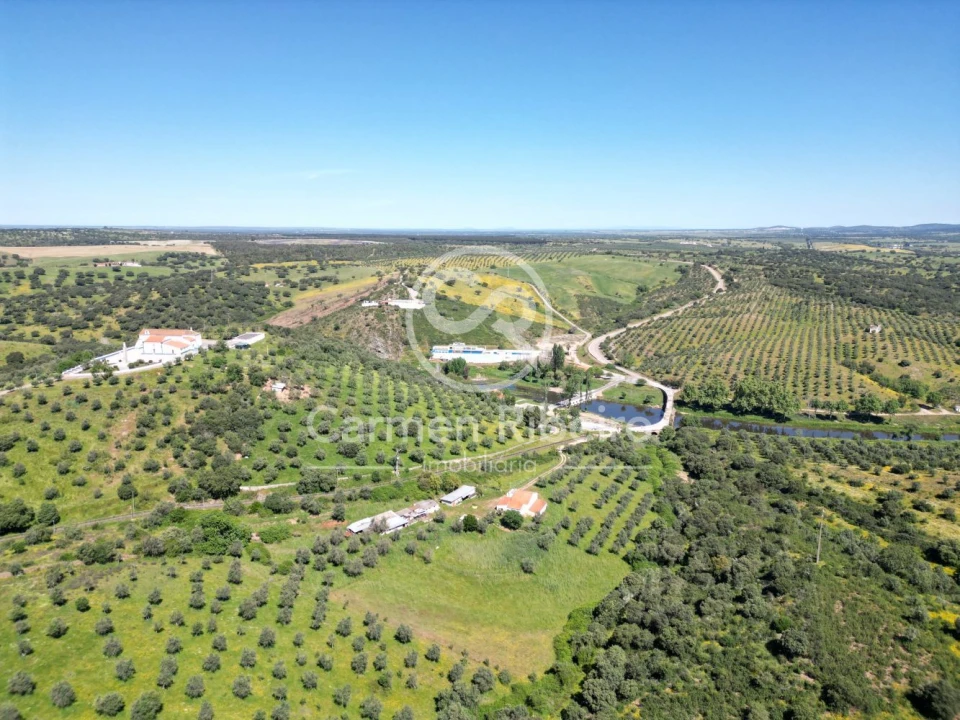 Quinta T5 para Venda em Fronteira Foto 23