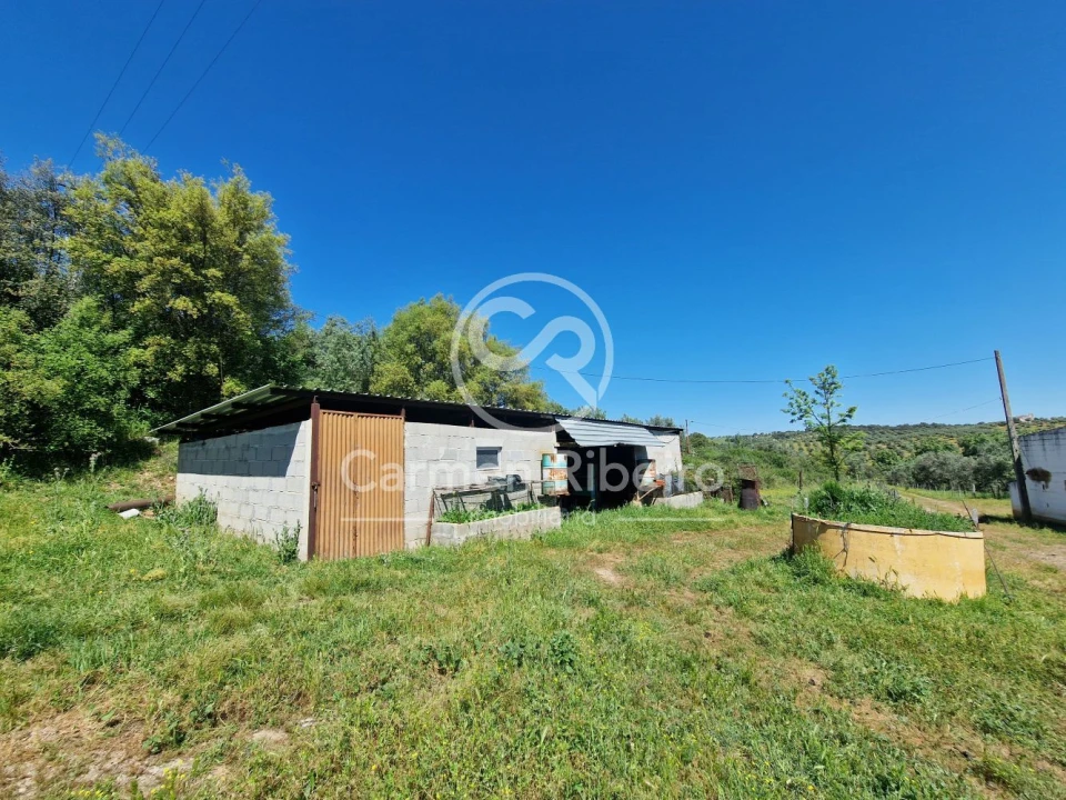 Quinta T5 para Venda em Fronteira Foto 10