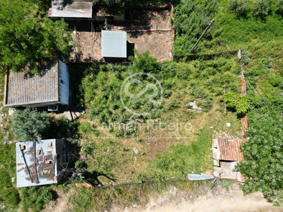 Quinta T5 para Venda em Fronteira Foto 11