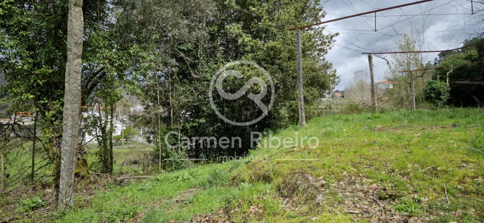 Quinta T4 para Venda em Armil Foto 35