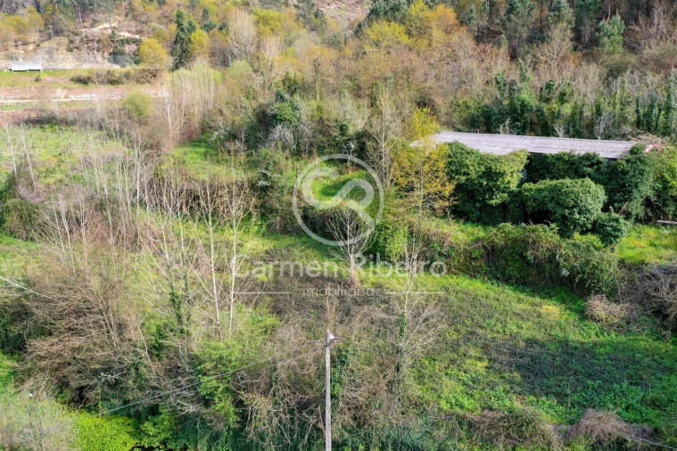 Quinta T4 para Venda em Armil Foto 32