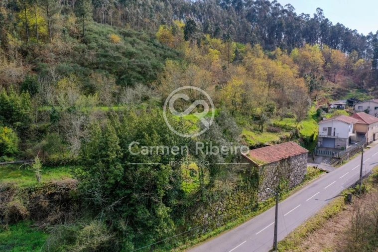 Quinta T4 para Venda em Armil Foto 47