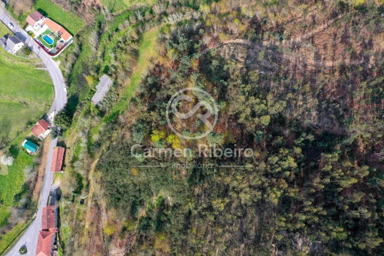 Quinta T4 para Venda em Armil Foto 46