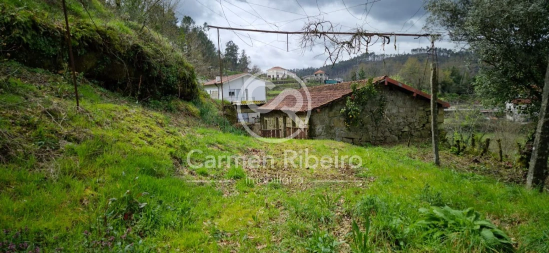 Quinta T4 para Venda em Armil Foto 4