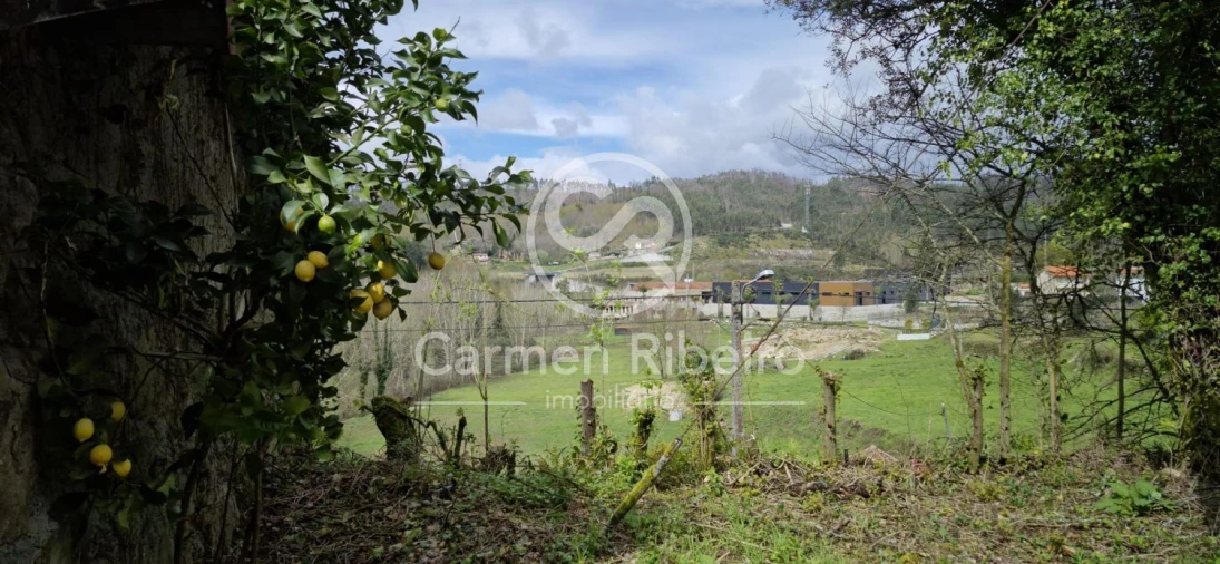 Quinta T4 para Venda em Armil Foto 36