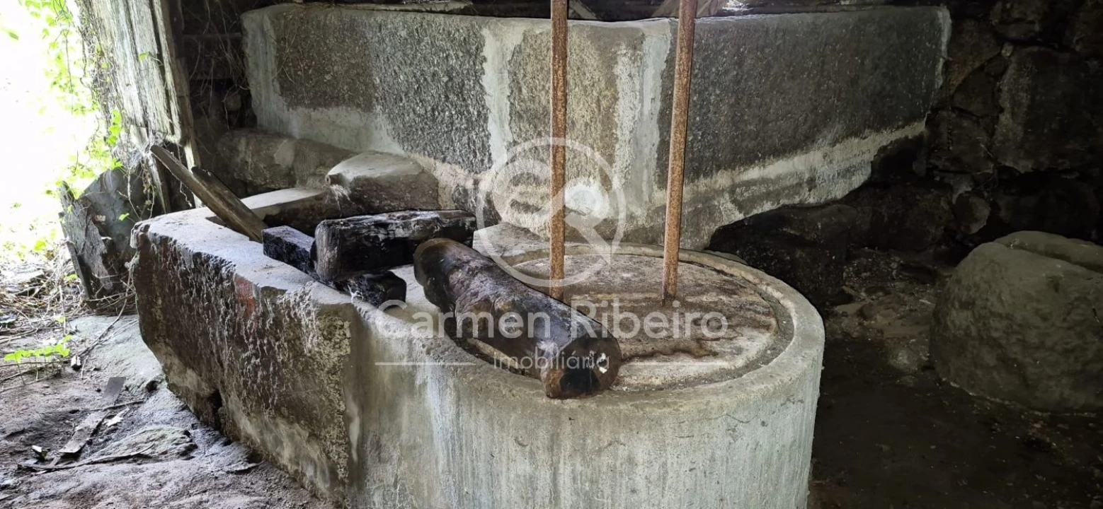 Quinta T4 para Venda em Armil Foto 26