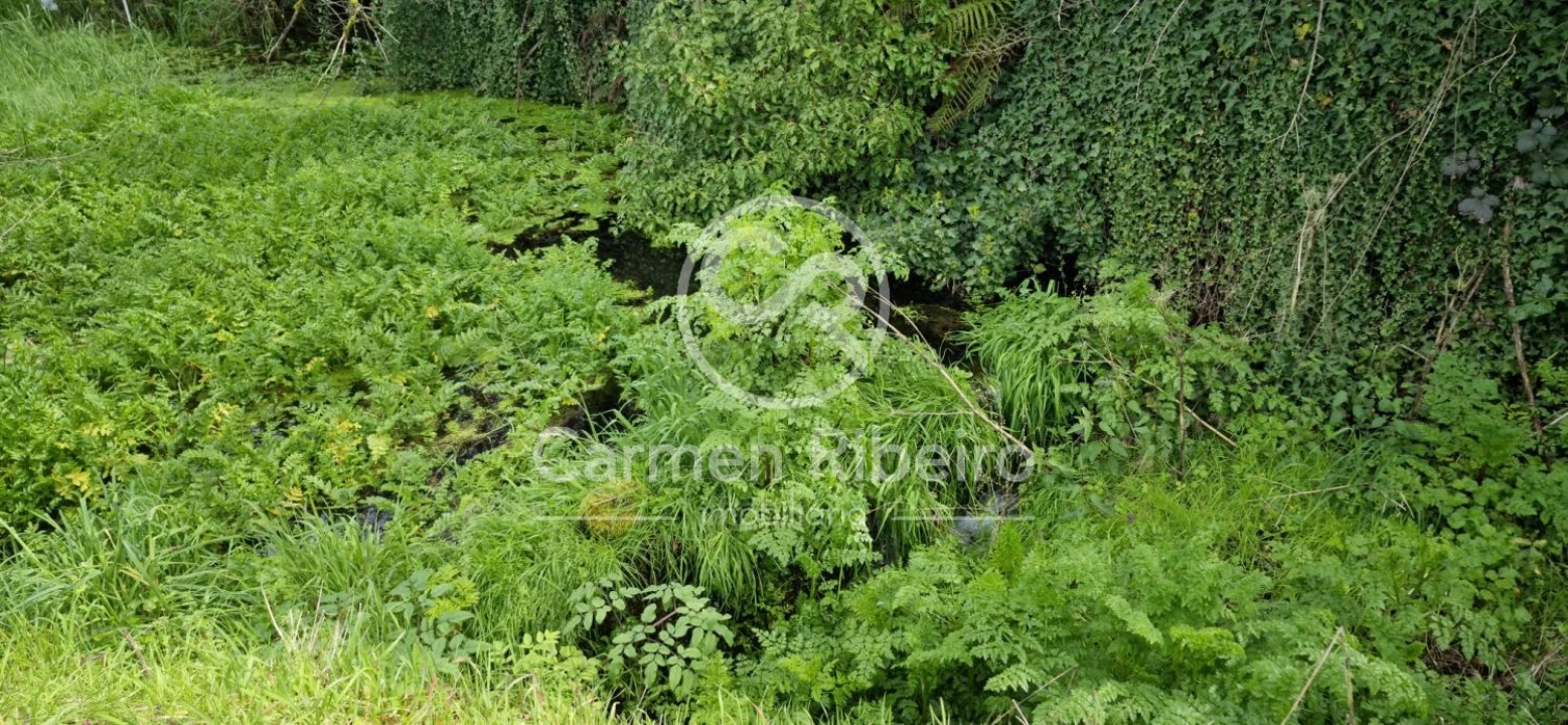 Quinta T4 para Venda em Armil Foto 39