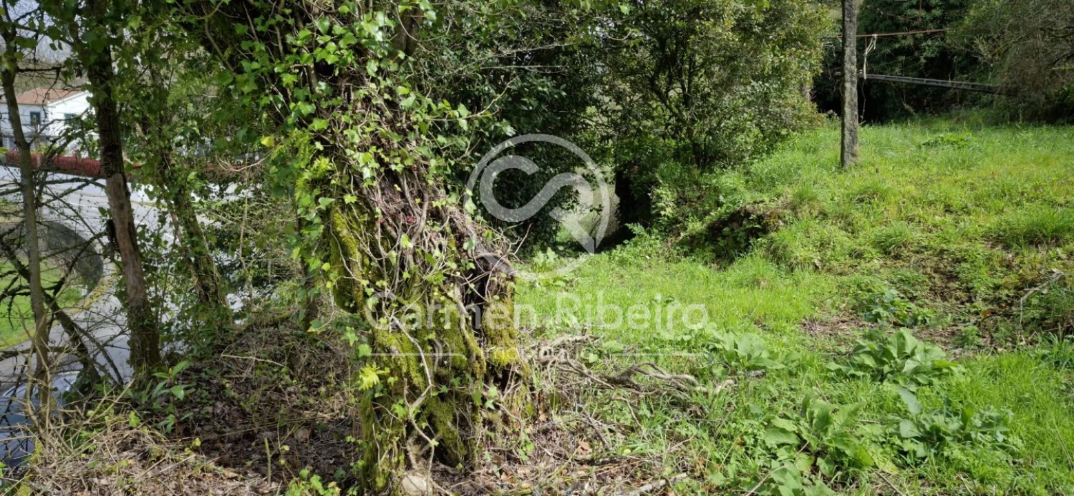 Quinta T4 para Venda em Armil Foto 37