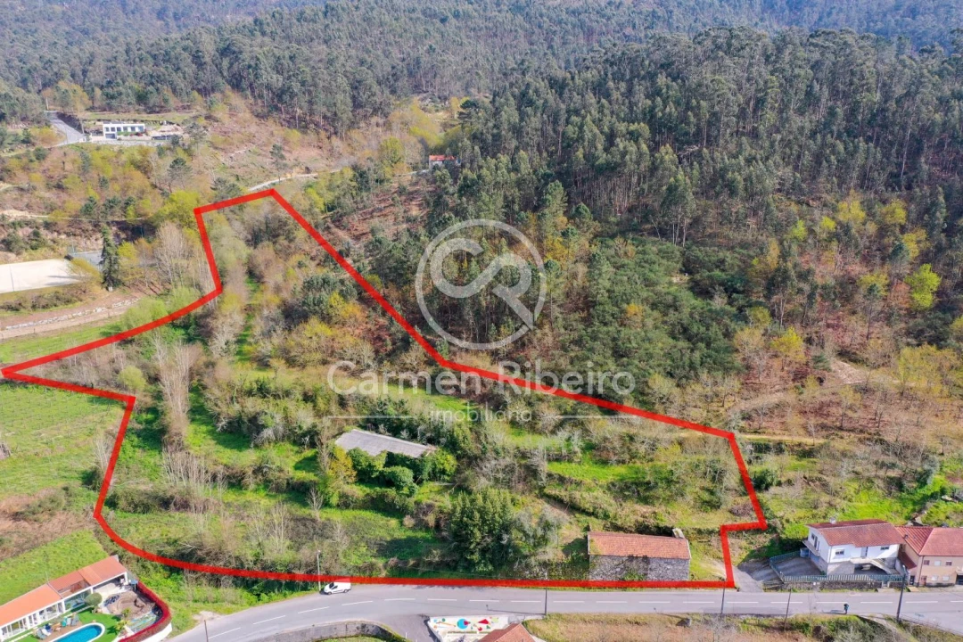 Quinta T4 para Venda em Armil Foto 43