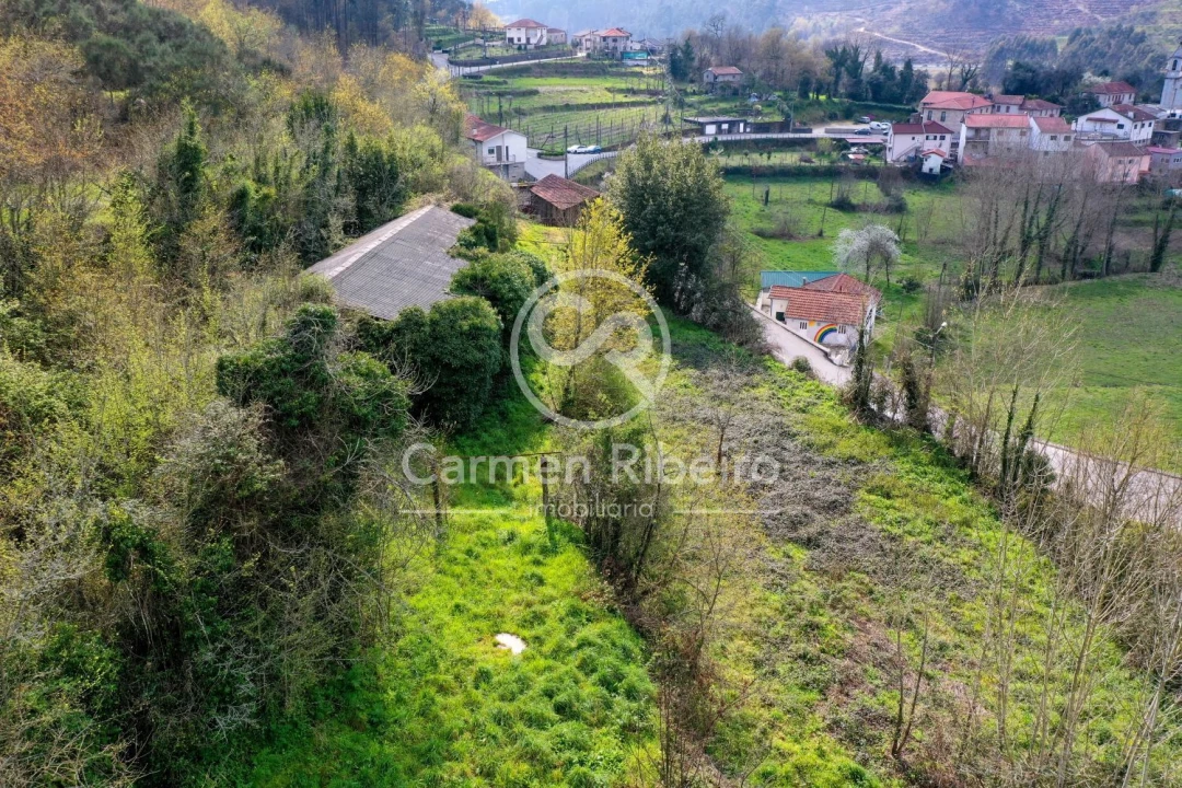 Quinta T4 para Venda em Armil Foto 12