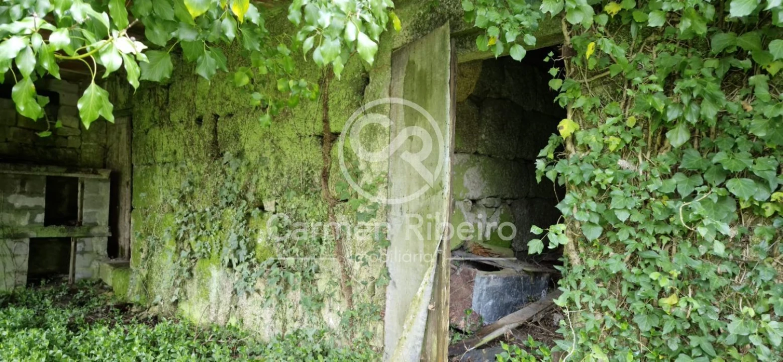 Quinta T4 para Venda em Armil Foto 17