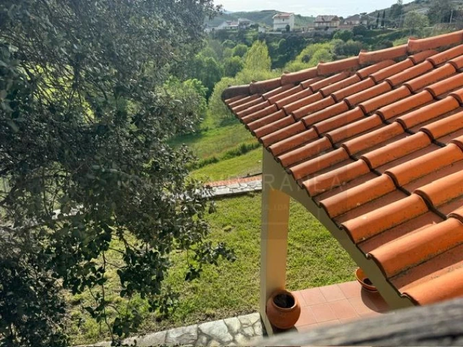 Quinta T4 para Venda em Carvalhais Foto 24