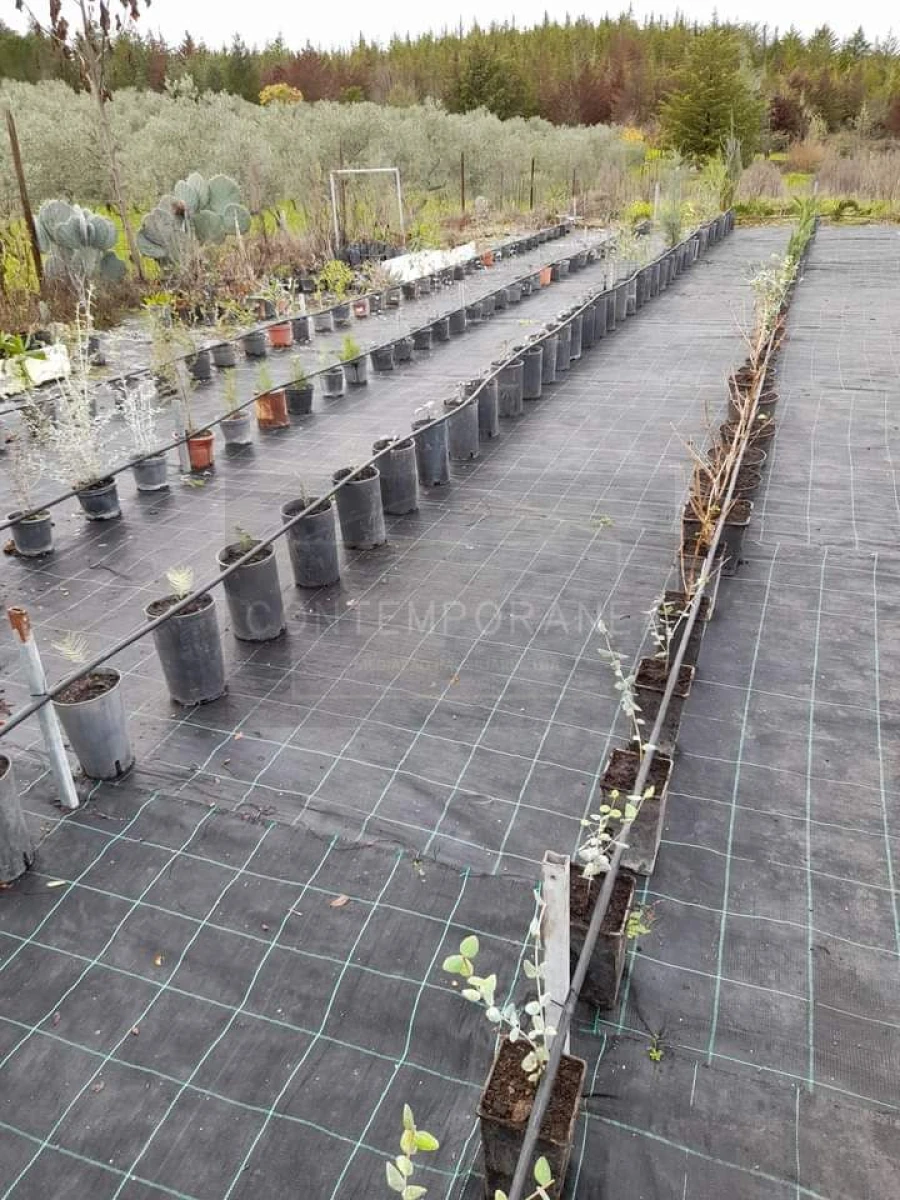 Terreno para Venda em Carvalhais Foto 2