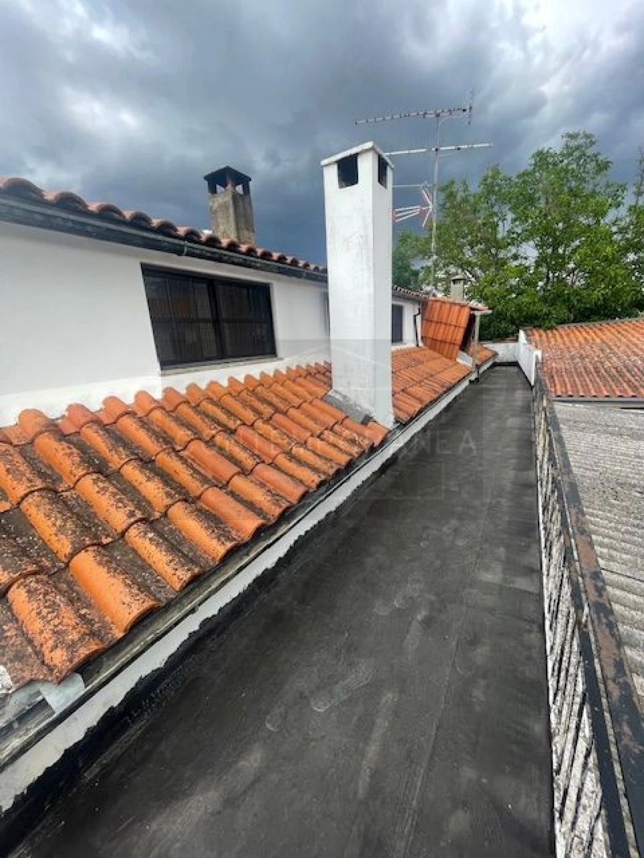 Quinta T6 para Venda em Mirandela Foto 6