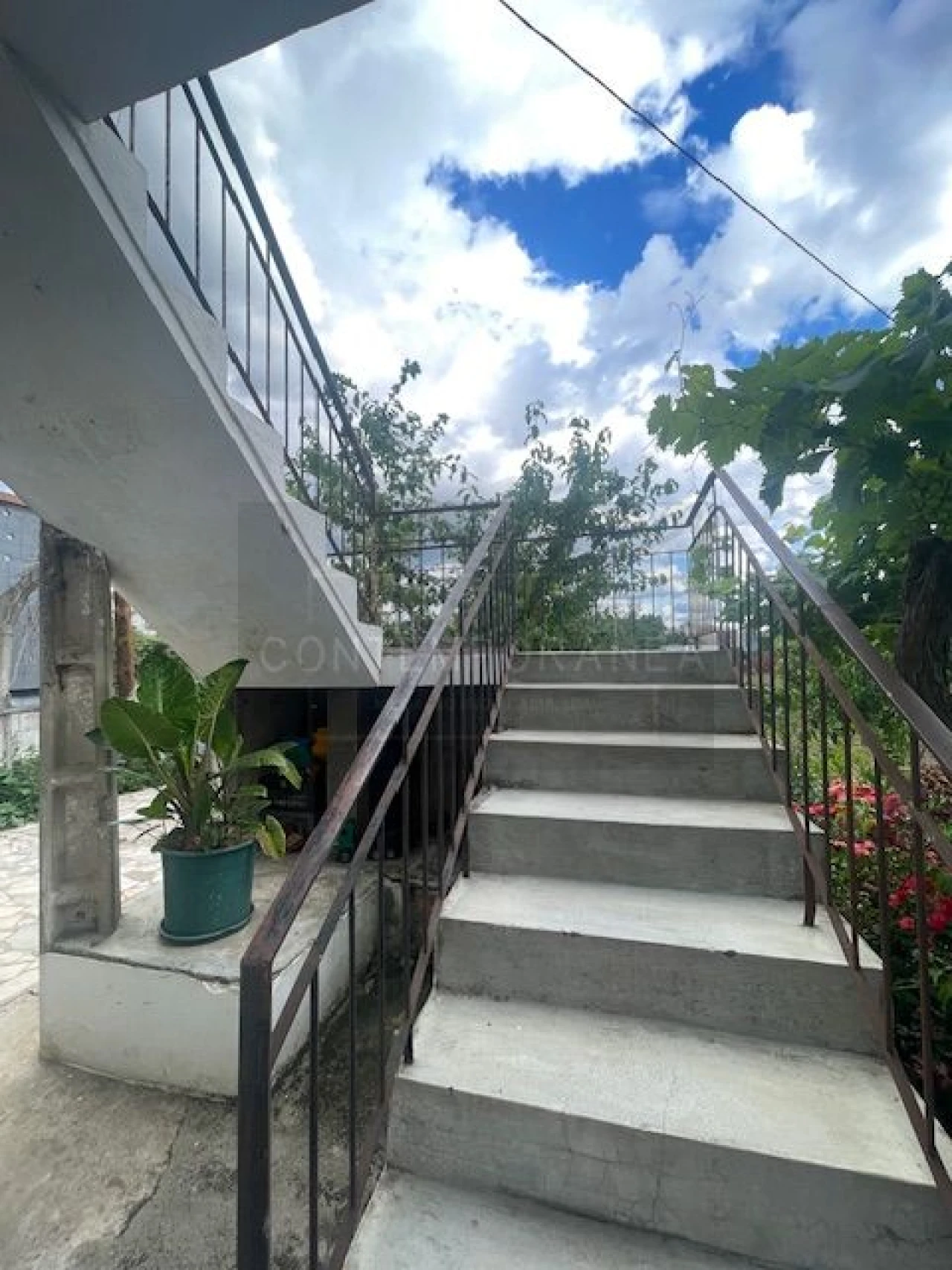 Quinta T6 para Venda em Mirandela Foto 7