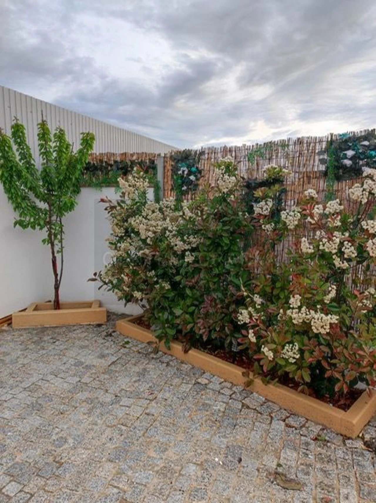 Moradia T6 para Venda em Mirandela Foto 21