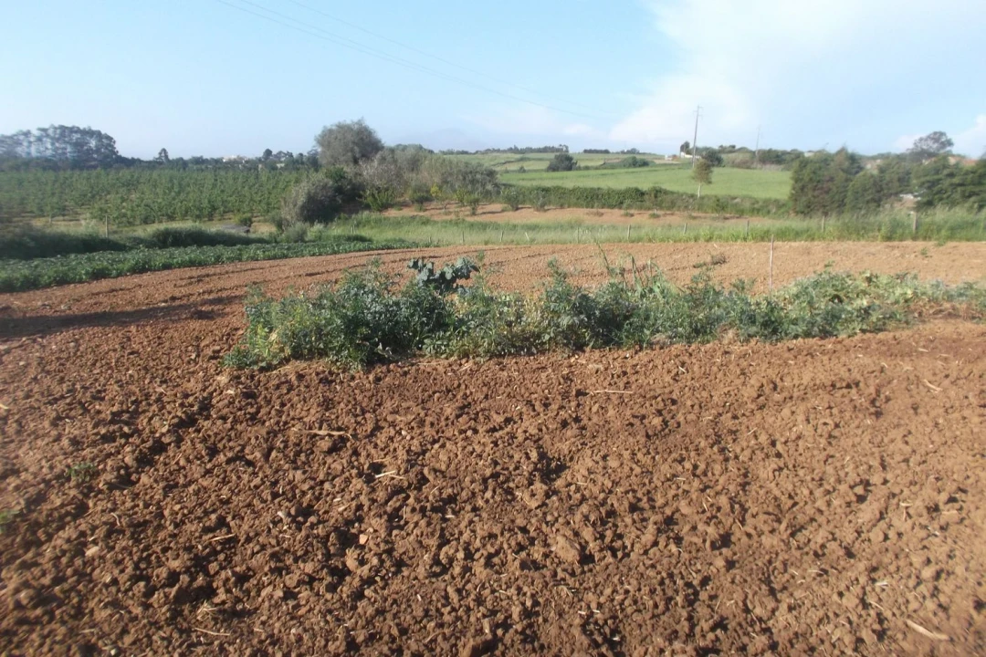 Terreno para Venda em Famalicão Foto 1