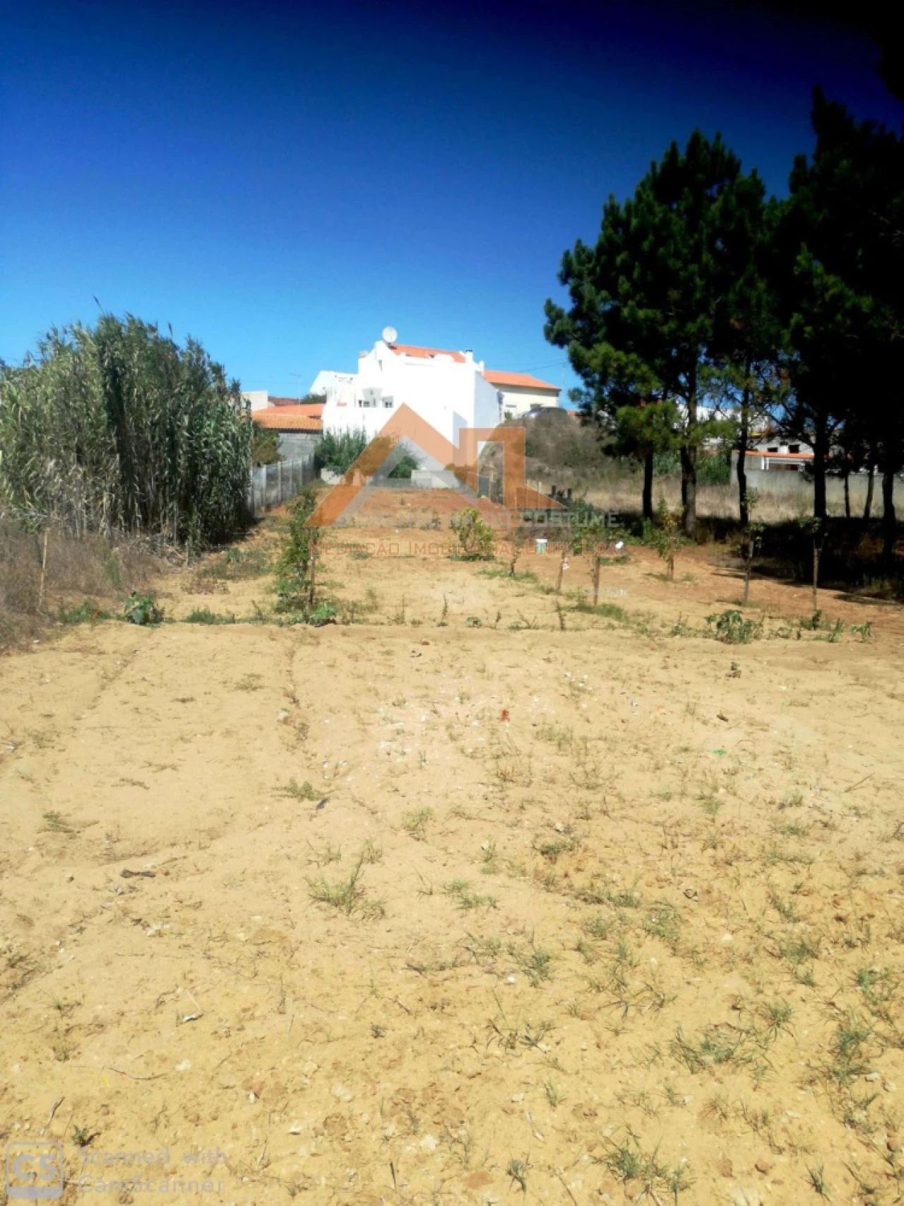 Moradia T4 para Venda em Tornada e Salir do Porto Foto 29