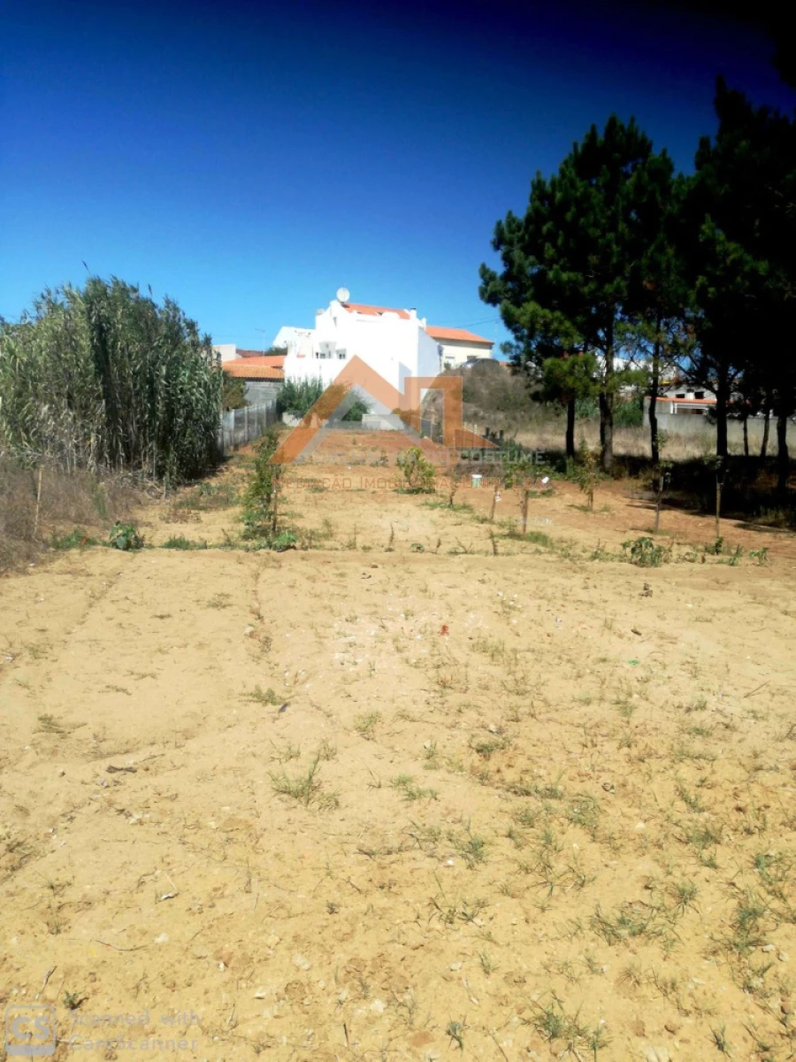 Moradia T4 para Venda em Tornada e Salir do Porto Foto 29