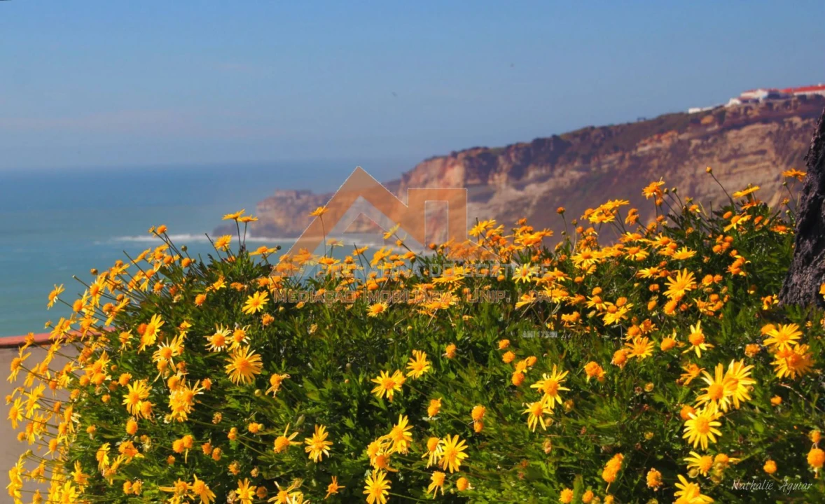 Terreno para Venda em Famalicão Foto 13