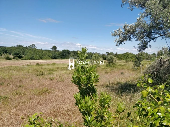 Terreno para Venda em Buarcos Foto 5