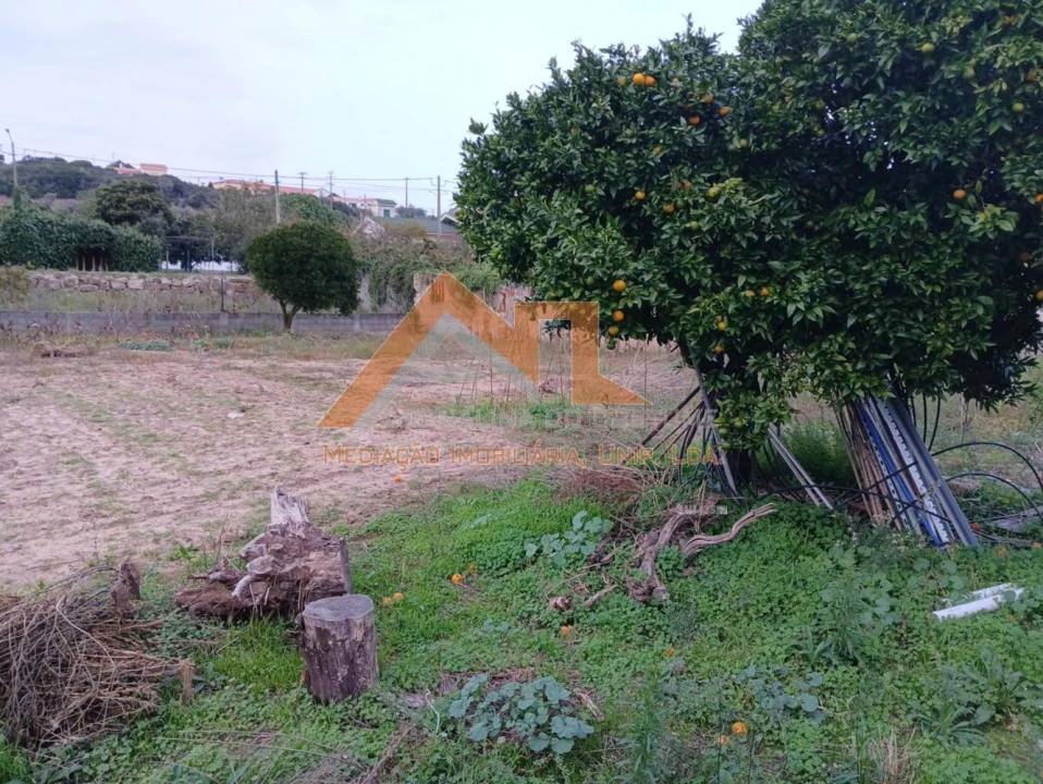 Moradia T3 para Venda em Amoreira Foto 28