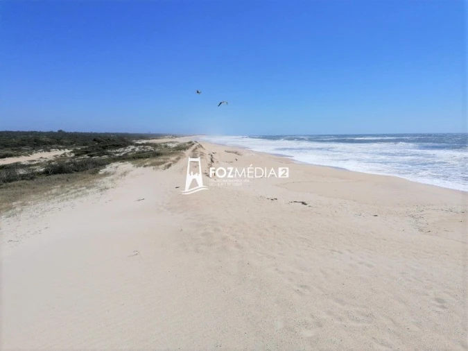 Apartamento T1 para Venda em São Pedro Foto 17
