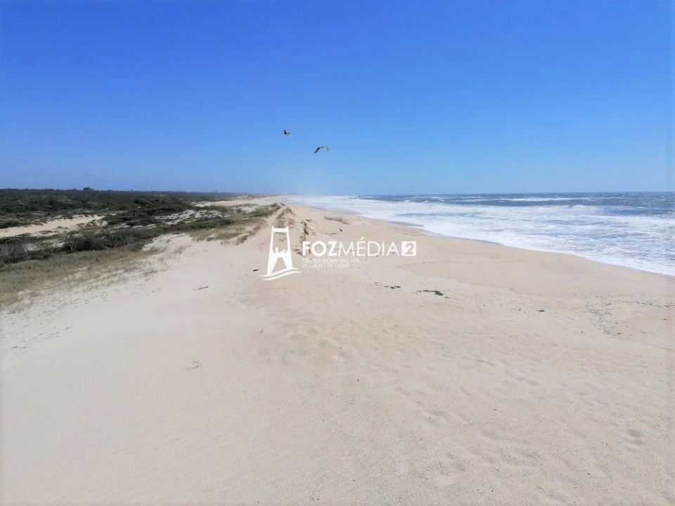 Apartamento T1 para Venda em São Pedro Foto 17